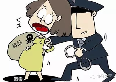 2016年初，涉縣警方查獲一起涉毒案件，鑒于該案涉案人員多、毒品交易量大，涉縣警方立即將案情上報，被公安部確立為“目標-2016-314”號毒品案件。涉縣警方成立專案組，經過多方追查，先后抓獲團伙人員13名，繳獲毒品5349克，并查明上線“濮姐”的真實身份為陳某。